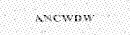 Visual security code
